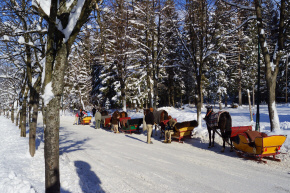 GABI kawiarnia lodziarnia noclegi wypoczynek pokoje w Polsce góry Tatry Zakopane